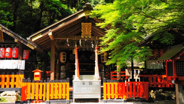 野宮神社の本殿と新緑