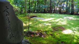 野宮神社の苔庭