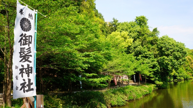 御髪神社と小倉池の新緑