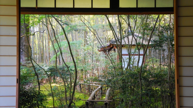 滝口寺の本堂から眺めた小松堂と竹林