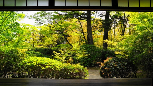 京都滝口寺の本堂から眺めた庭園と新緑
