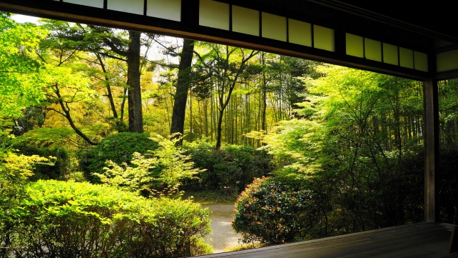 滝口寺の本堂から眺めた庭園と青紅葉