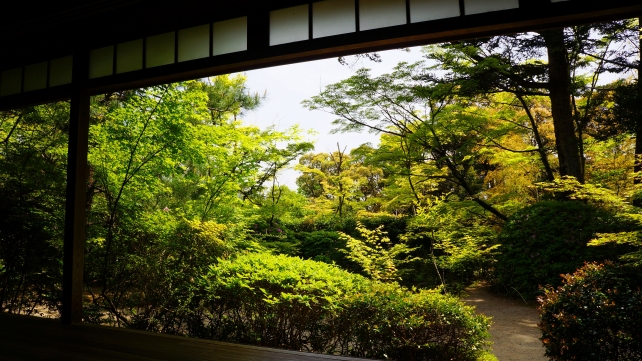 滝口寺の本堂から眺めた庭園と新緑