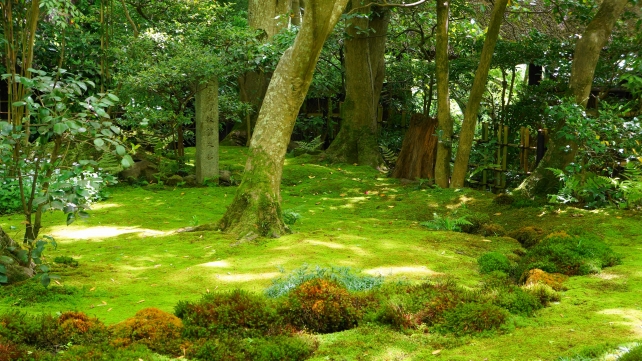 京都奥嵯峨祇王寺の新緑の苔庭