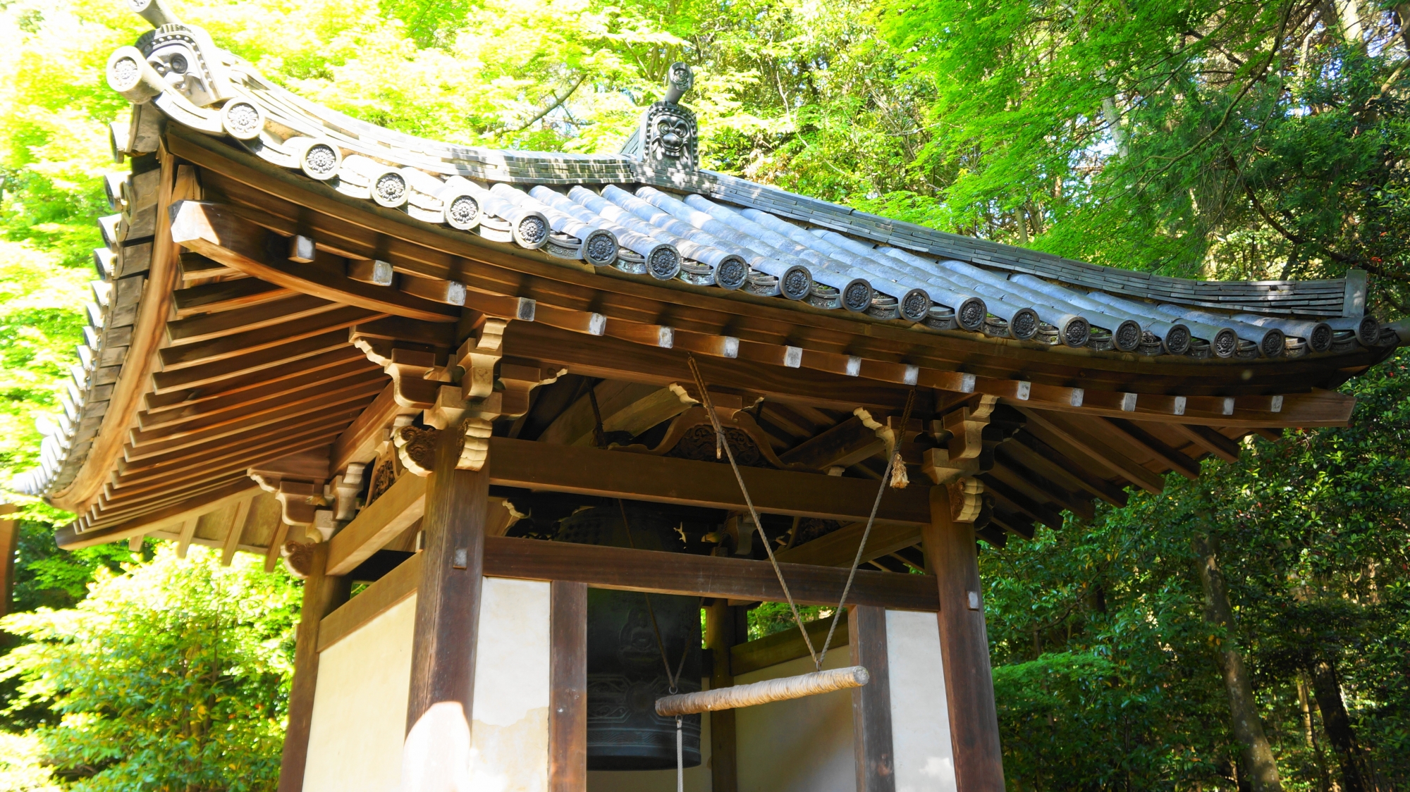 栖賢寺 新緑と青もみじ 究極の穴場のお寺 | 京都もよう KYOTO MOYOU