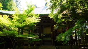栖賢寺の本堂のきれいな新緑