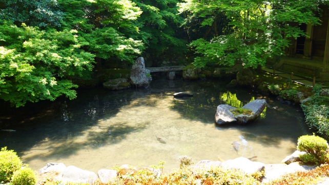 京都洛北蓮華寺の新緑の庭園