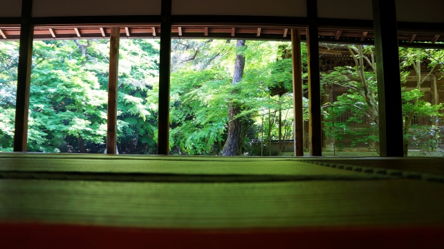 蓮華寺の書院から眺めた清々しい新緑の美しい庭園