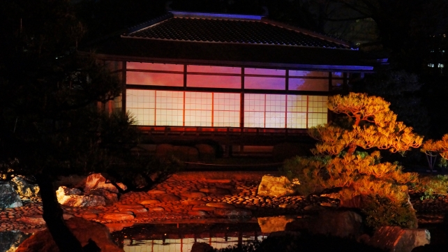 二条城の清流園の色の変わる夜桜ライトアップ