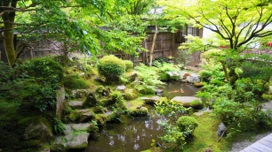 新緑の宝泉院の鶴亀庭園