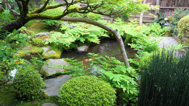 新緑の宝泉院の鶴亀庭園