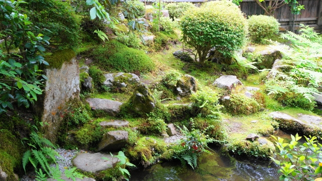 新緑の大原宝泉院の鶴亀庭園