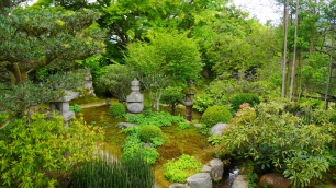新緑の実光院の旧理覚院庭園