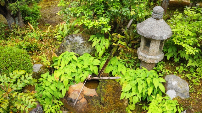 新緑の時期の京都大原実光院の旧理覚院庭園