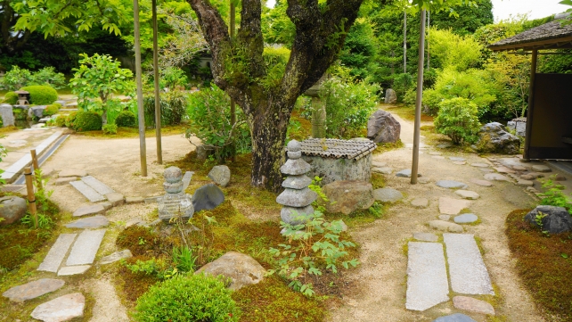 新緑の実光院の旧理覚院庭園