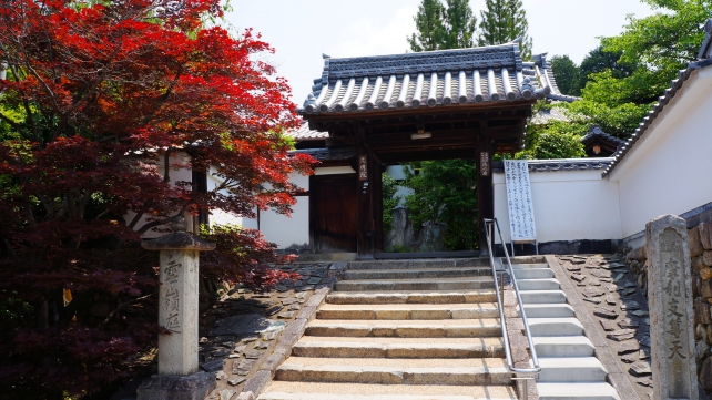 東福寺塔頭光明院の山門と紅葉