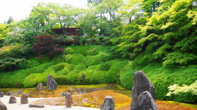 京都東福寺塔頭光明院の波心庭の見事な新緑と青もみじ