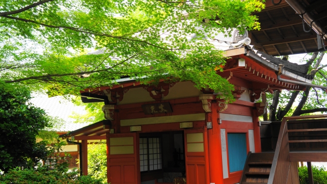 東福寺塔頭光明院の納骨堂と新緑と青もみじ