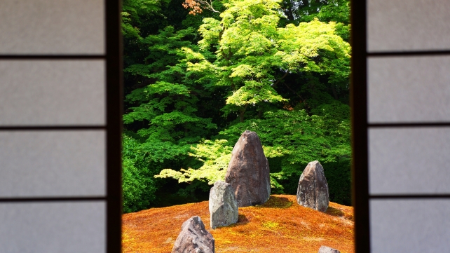 光明院の茶室から眺めた波心庭と岩と青もみじ 2014年5月