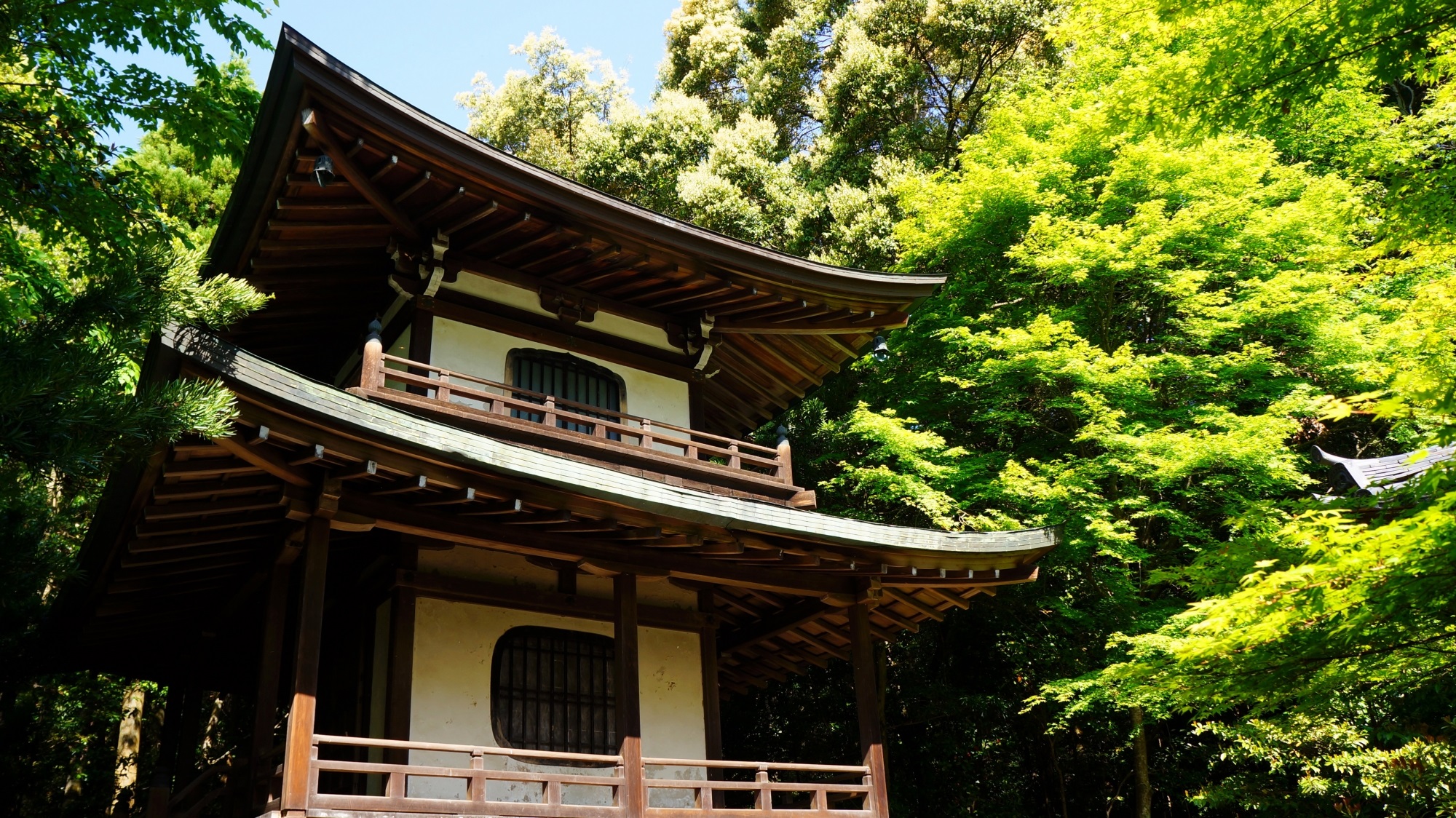 栖賢寺 新緑と青もみじ 究極の穴場のお寺 | 京都もよう KYOTO MOYOU