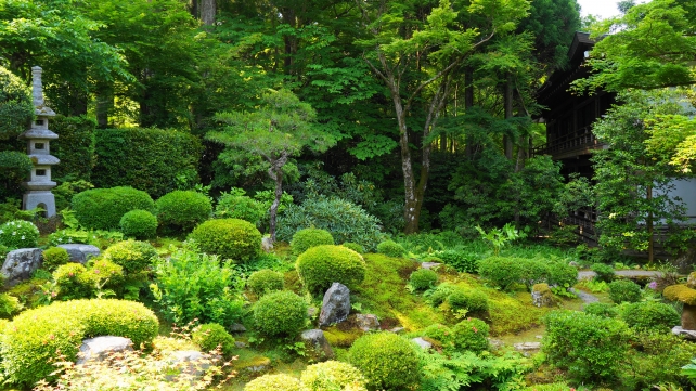 京都大原三千院門跡の聚碧園の新緑