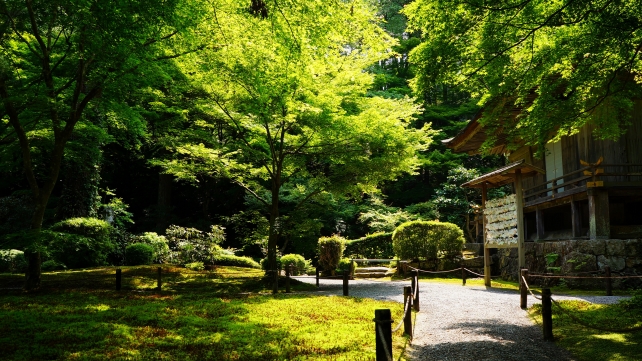 京都大原三千院門跡の有清園と往生極楽院付近の新緑