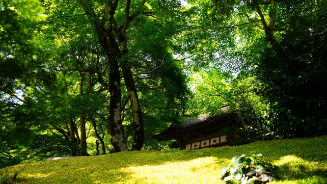 京都大原寂光院の茶室「孤雲」と山門の新緑