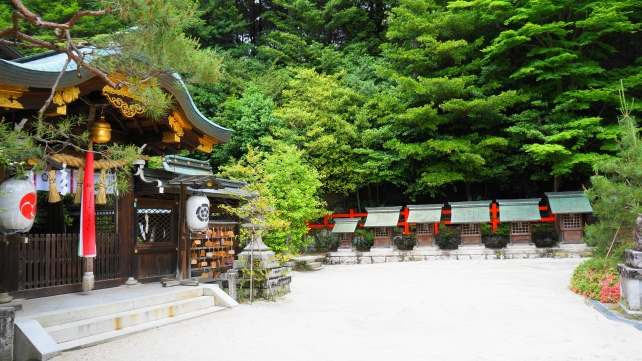 八大神社の本殿と新緑