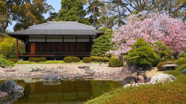 二条城の清流園（香雲亭）と桜