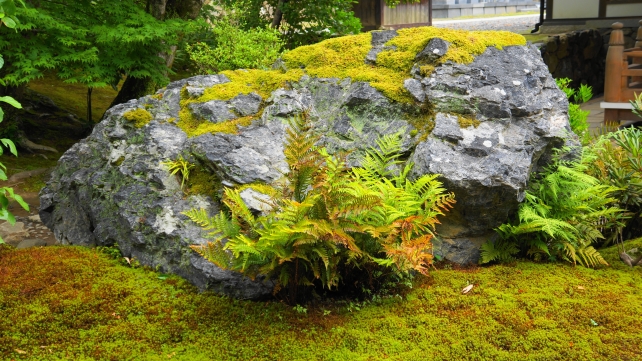 宝厳院の本堂前の庭園の岩と苔