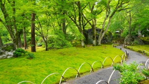 宝厳院の獅子吼の庭の碧岩と新緑 2014年6月