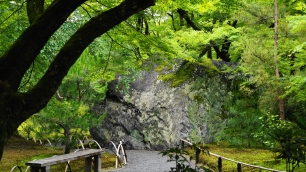 宝厳院の獅子吼の庭の碧岩と新緑