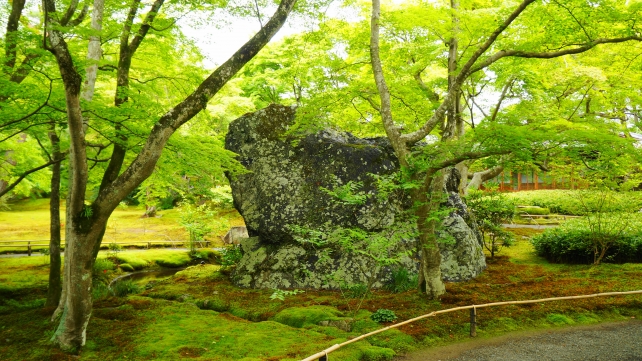 天龍寺宝厳院の獅子岩と青紅葉