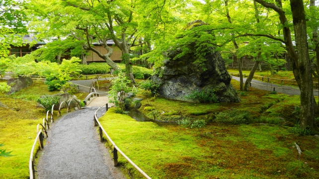 嵐山天龍寺塔頭宝厳院の獅子吼の庭の迫力の獅子岩と美しい新緑