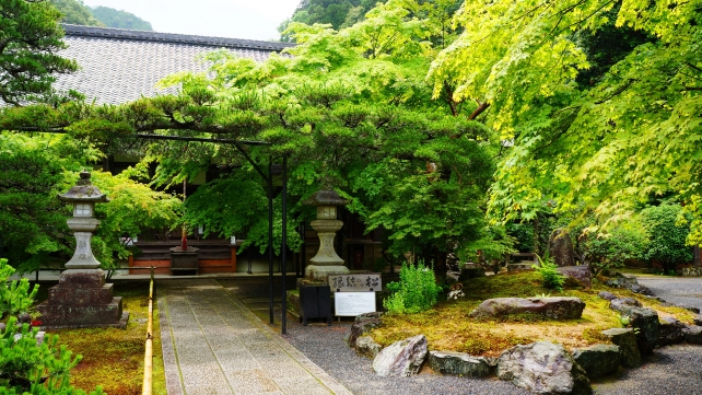 京都南禅寺の最勝院（高徳庵）の本堂と美しい新緑と青もみじ