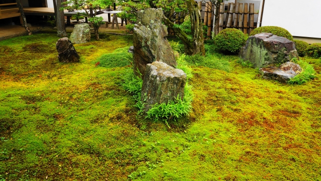南禅寺の六道庭の岩と趣きある苔