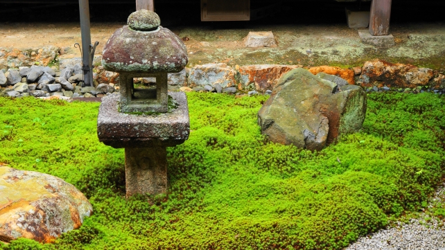 南禅寺の本坊中庭の灯籠と苔