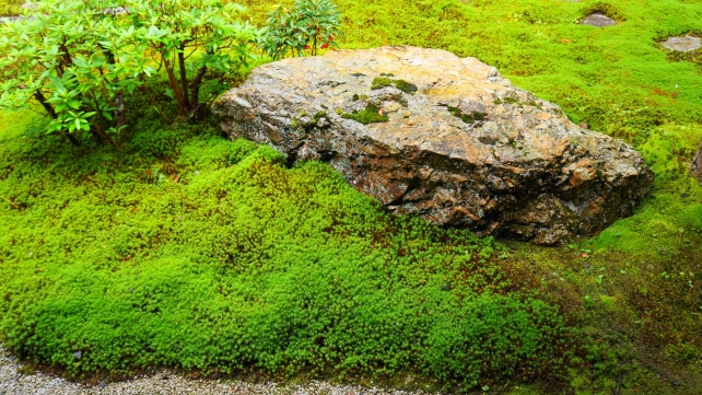 南禅寺の還源庭の美しい岩と絶品の緑の苔