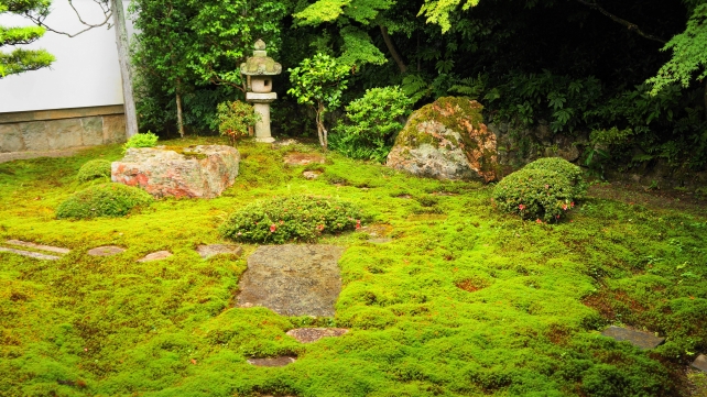 南禅寺の還源庭と緑の苔