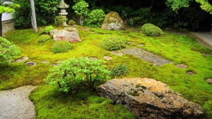 南禅寺の還源庭の美しい苔