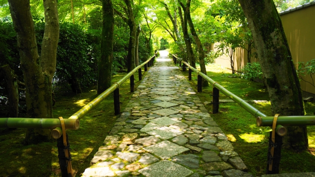 光悦寺の参道と新緑