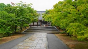 仁和寺の金堂の新緑と青紅葉