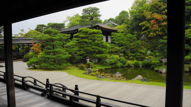 Fresh green and Blue maple Ninnaji-Temple Kyoto