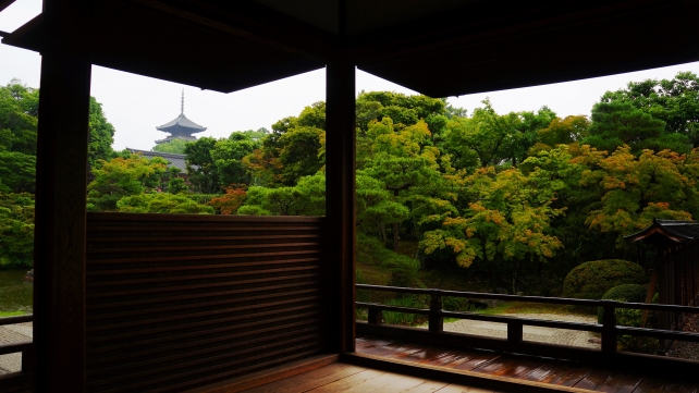 京都仁和寺の御殿北庭と五重塔と絶品の青もみじと新緑