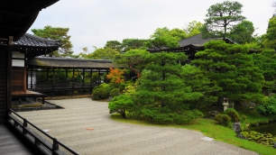 仁和寺の御殿北庭の日本を代表する青もみじと新緑