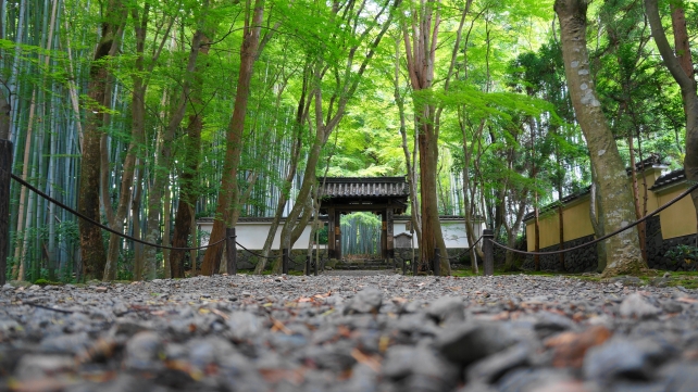 竹の寺総門