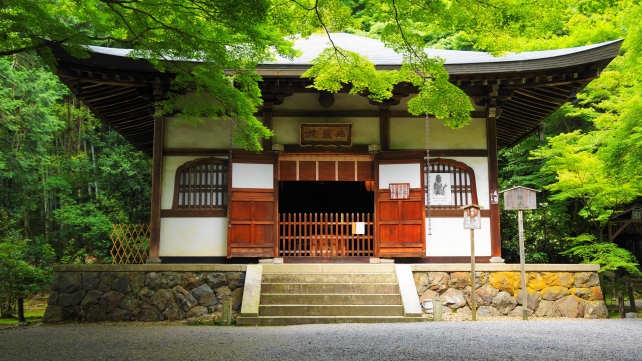 竹の寺と呼ばれる地蔵院の本堂と青紅葉