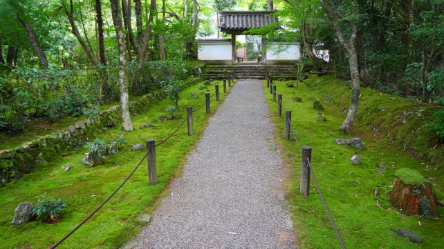 竹の寺地蔵院の中門と苔