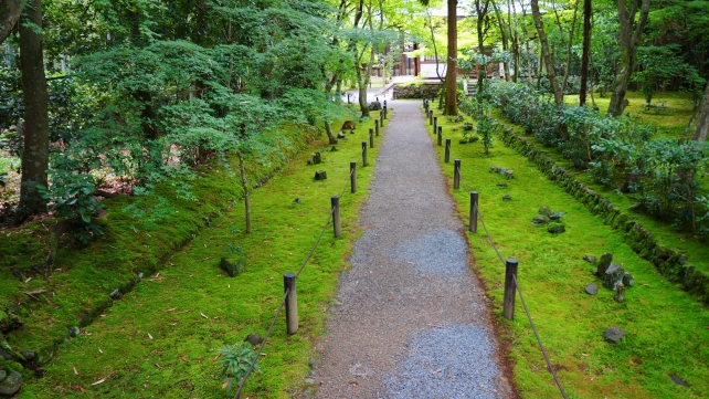 竹の寺と呼ばれる地蔵院の中門前参道と苔