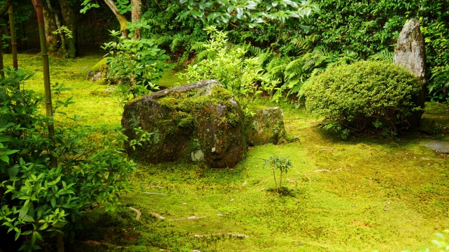 竹の寺地蔵院の十六羅漢の庭